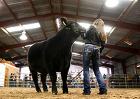 Llano County Jr Livestock Show 2012