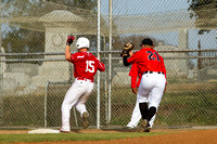 2013MAR0008TLS