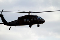 D10MAR0154TLS.jpg