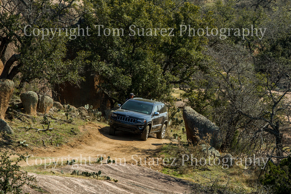 2013FEB0455TLS